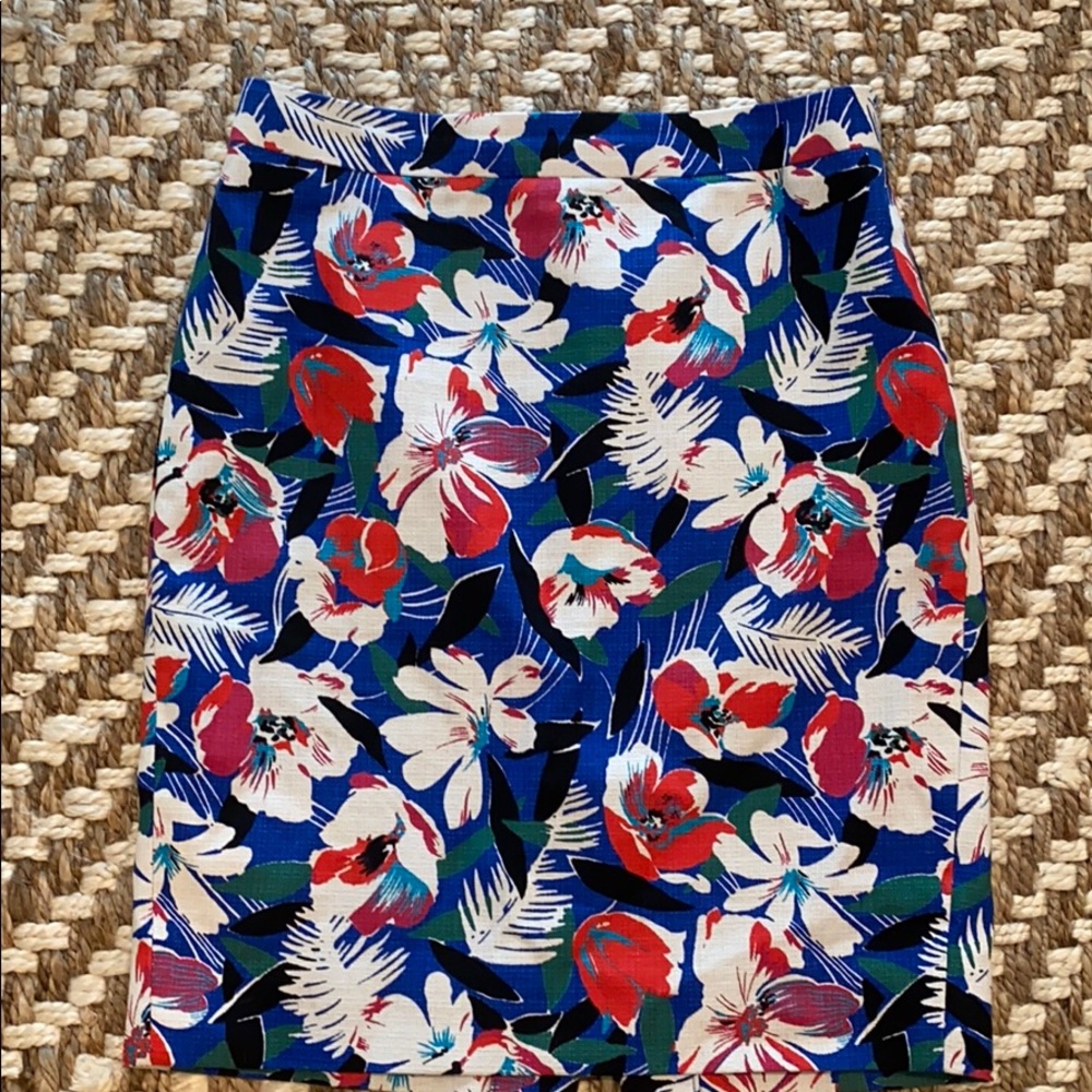 JCrew Skirt